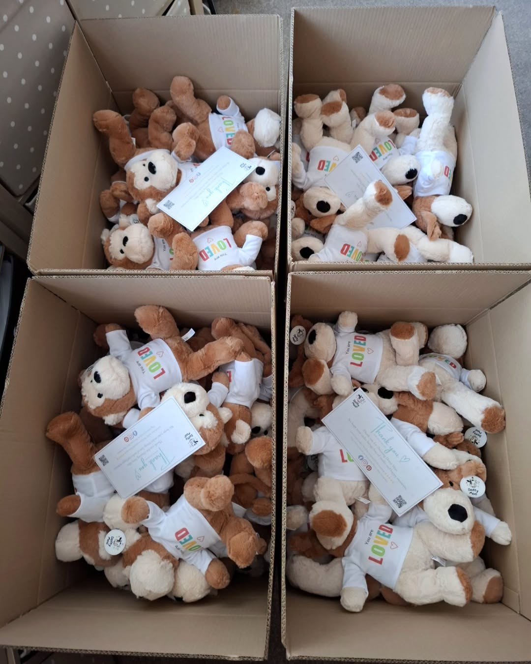 100 Community Comfort Bears Ready to Make a Difference