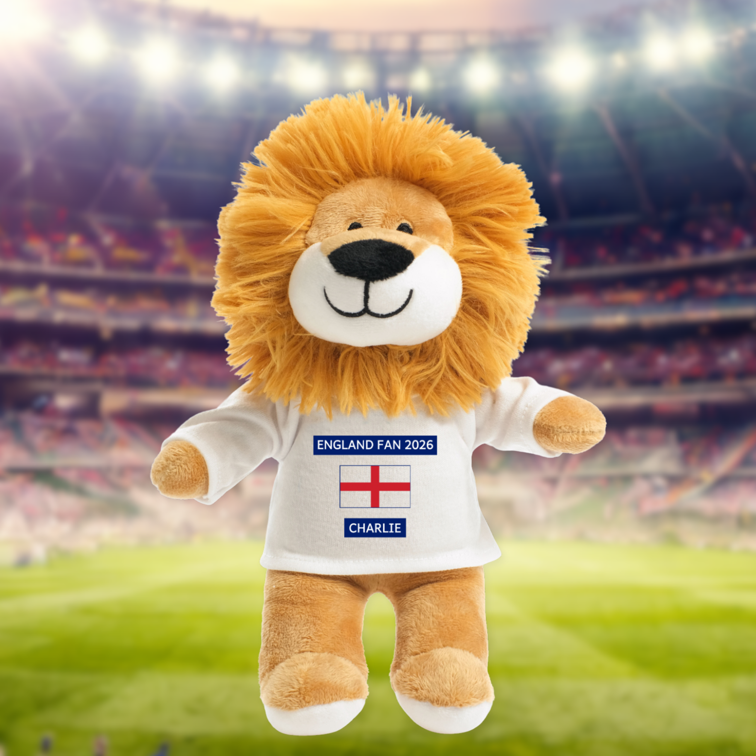 lion teddy in stadium