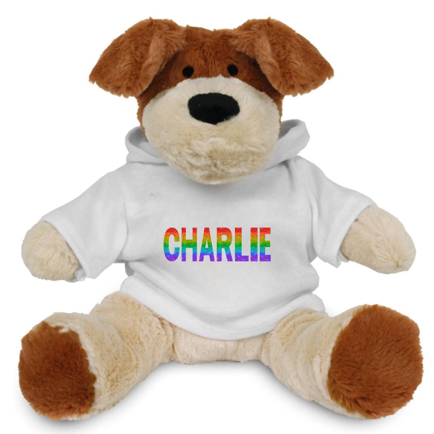 Personalised Hoodie (Fits Small Plush)