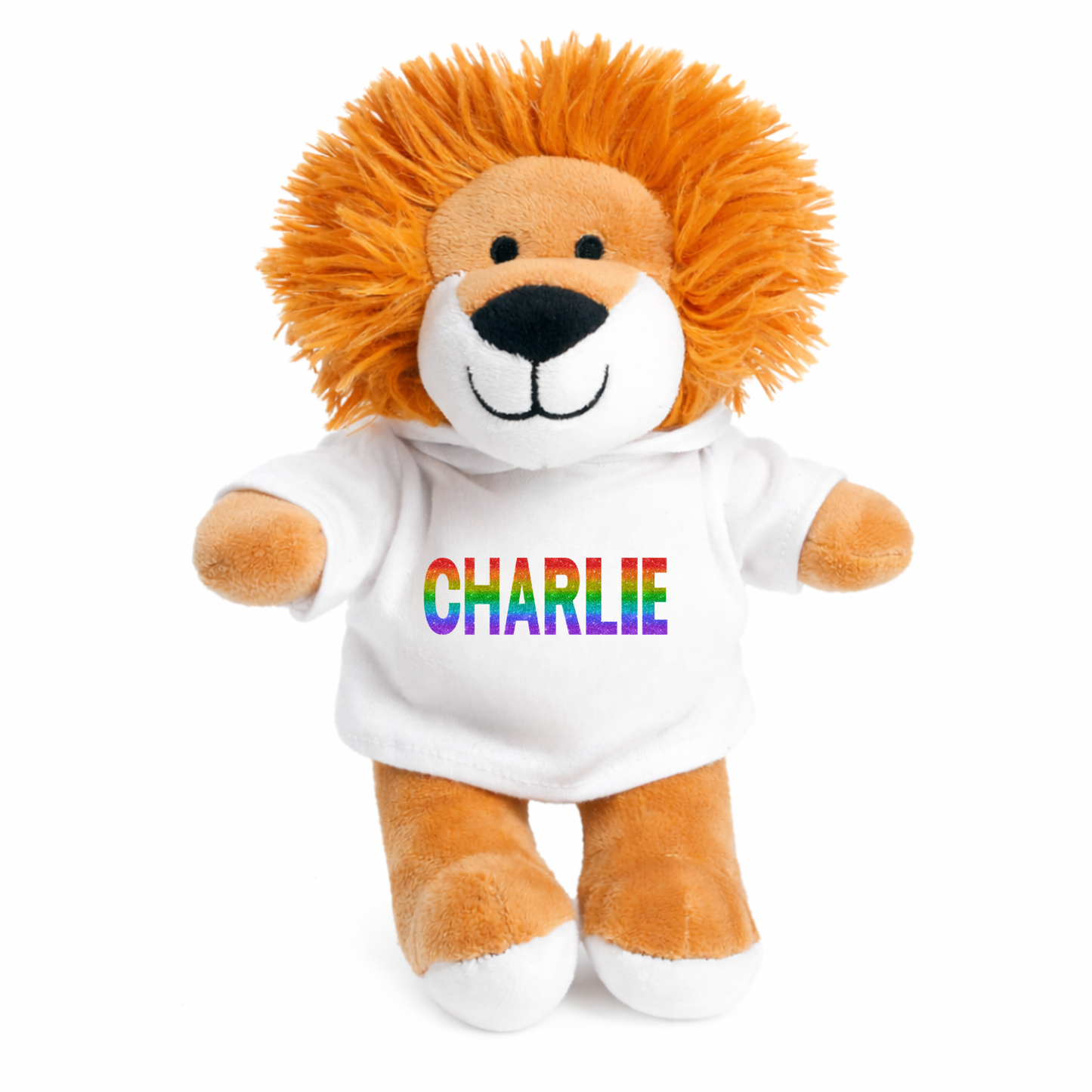 Personalised Hoodie (Fits Small Plush)