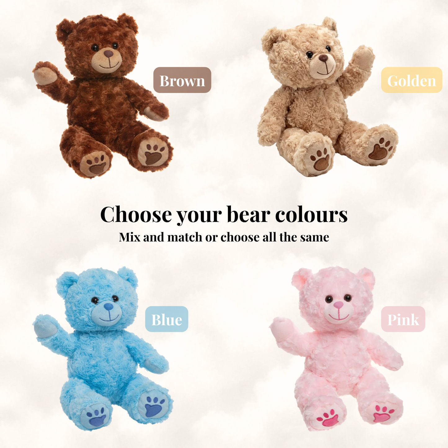 Design Your Own Bear Party Package!