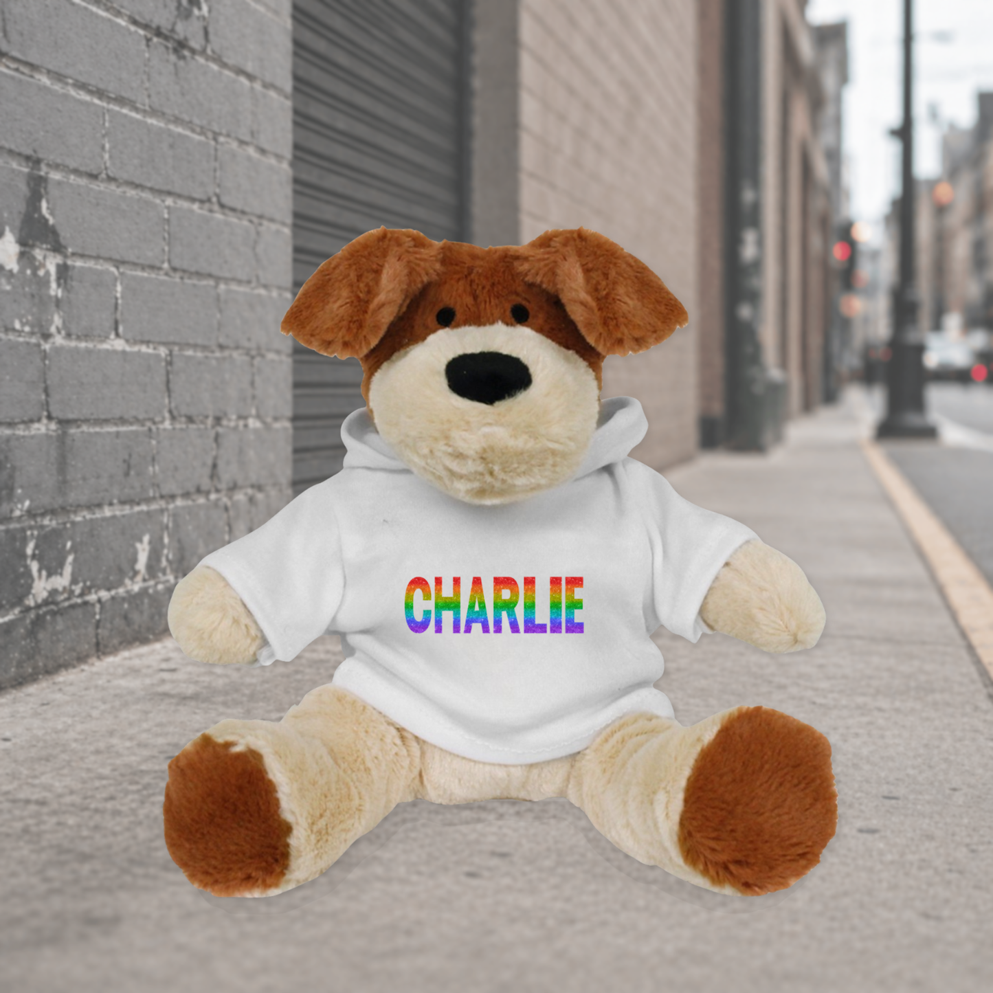 Personalised Hoodie Dog Teddy