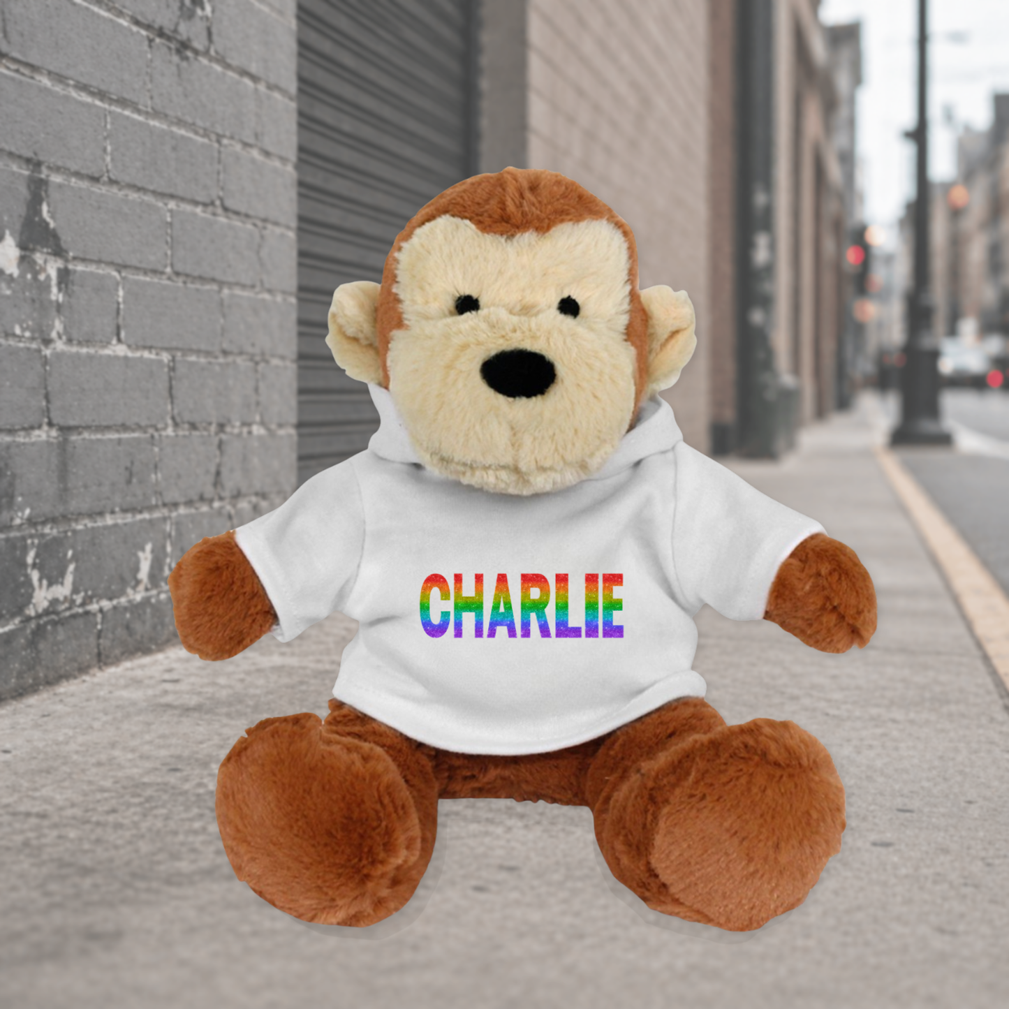 Personalised Hoodie Monkey Teddy