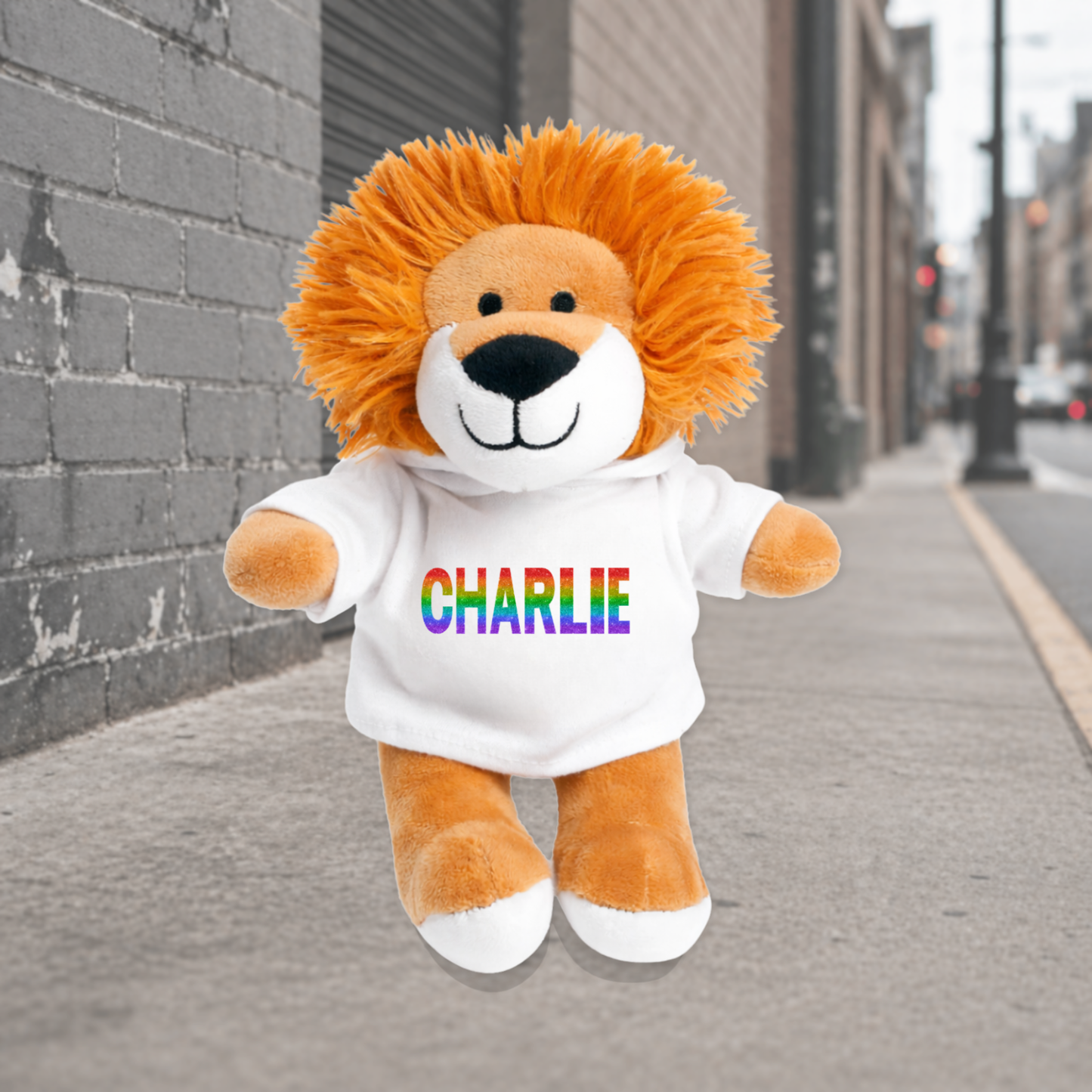 Personalised Hoodie Lion Teddy