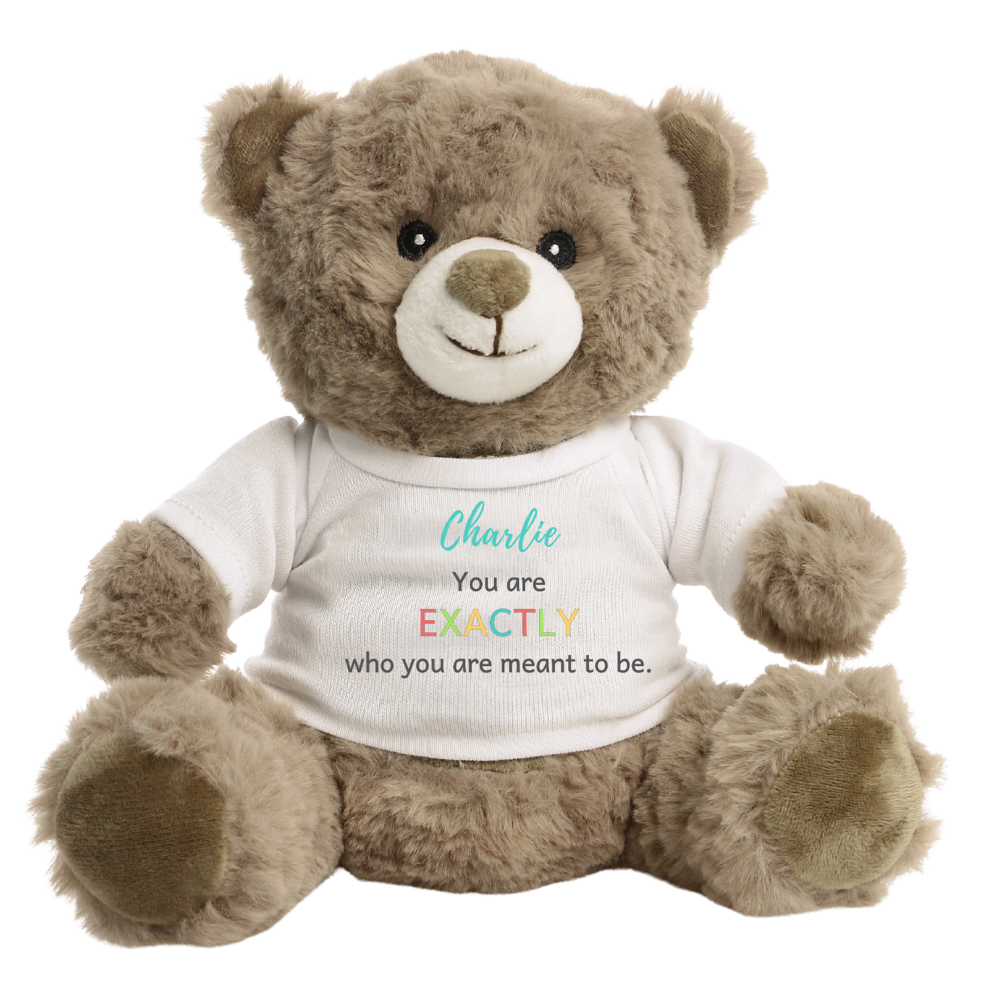 Personalised Confidence & Encouragement Teddy Bear